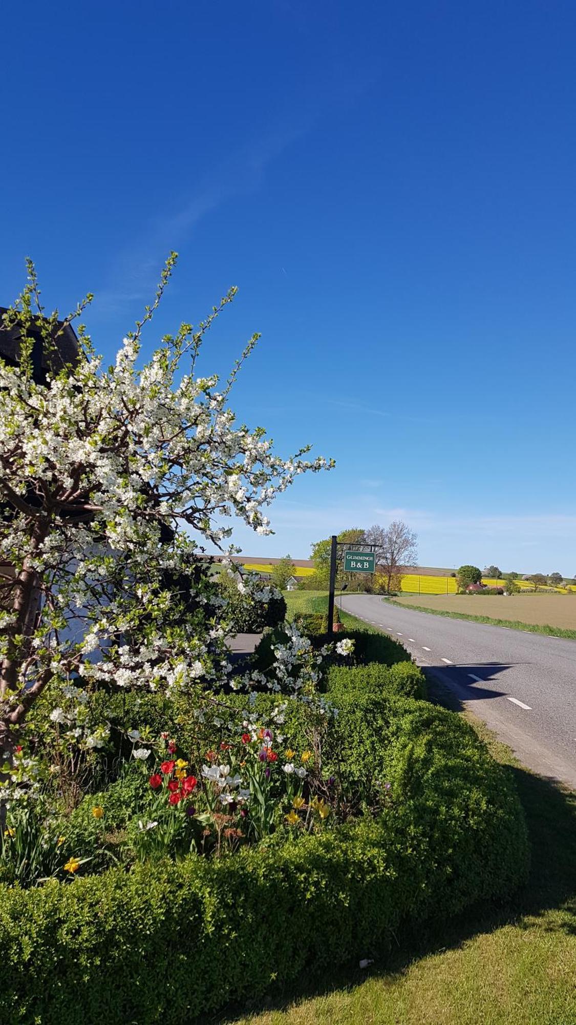 Glimminge Bed & Breakfast Simrishamn Ngoại thất bức ảnh